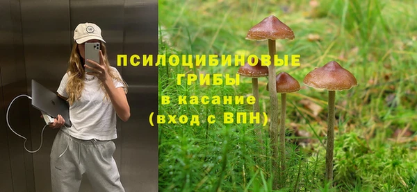 меф Алексин