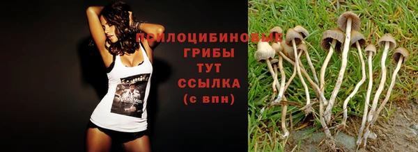 мяу мяу мука Дмитров