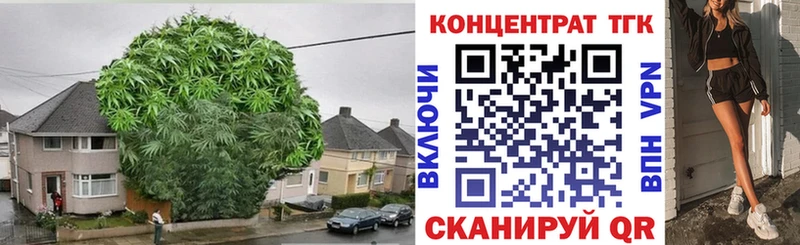 KRAKEN ссылки  Протвино  ТГК вейп 